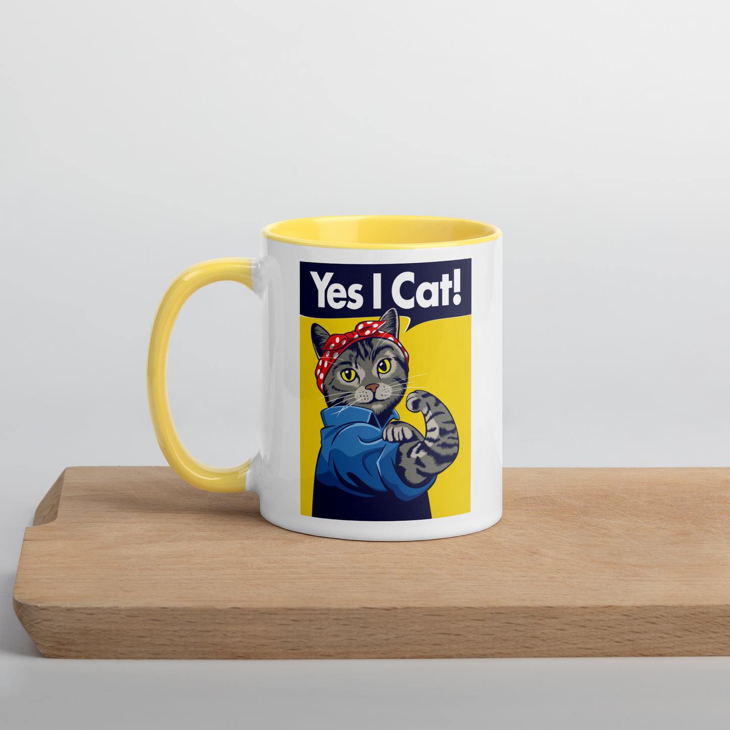 A Cat Can