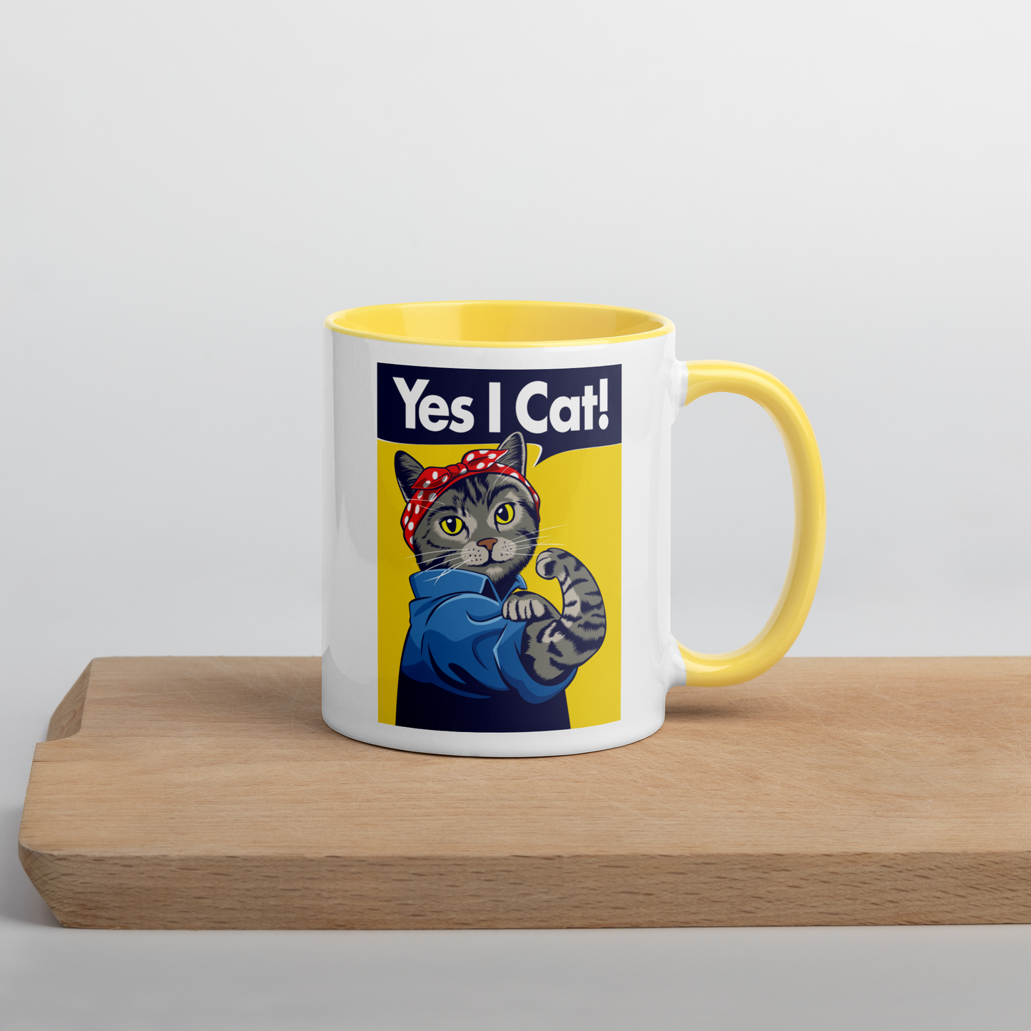 A Cat Can